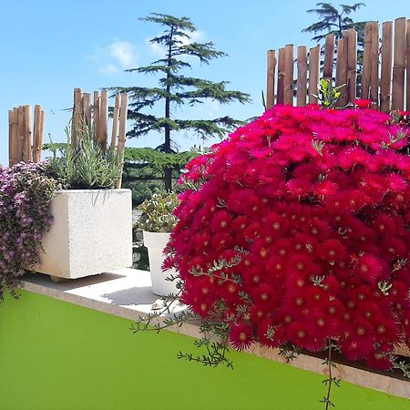 B&B Smartfit House - Room & Relax In Pescara Exteriör bild